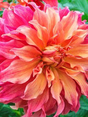 Meet your Posher, Katherine